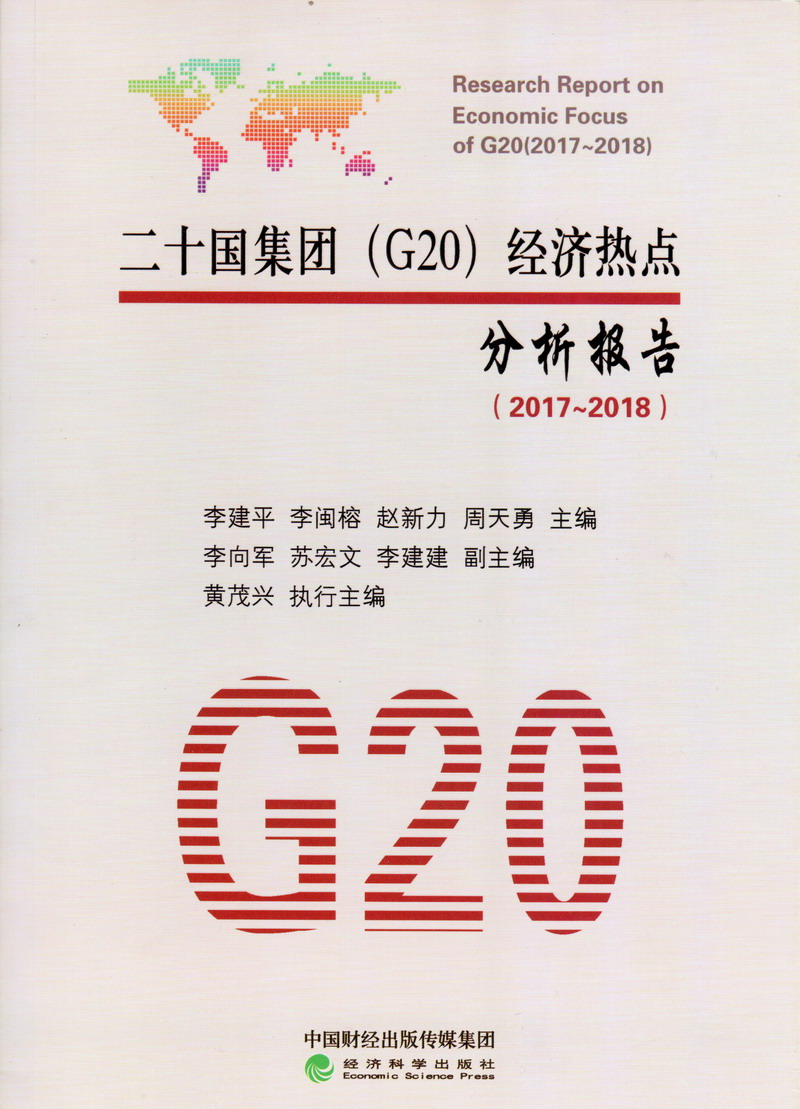 BBW后入AV二十国集团（G20）经济热点分析报告（2017-2018）